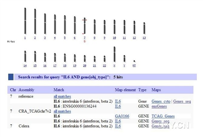 一步一步教你使用 NCBI 查找DNA、mRNA